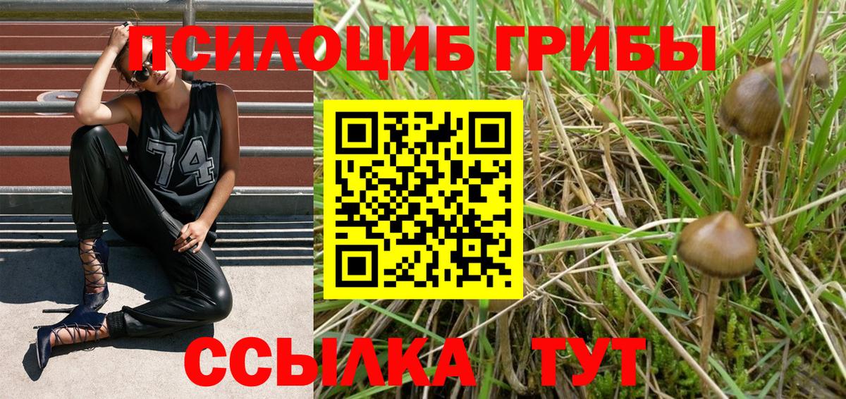 Псилоцибиновые грибы GOLDEN TEACHER Краснокаменск