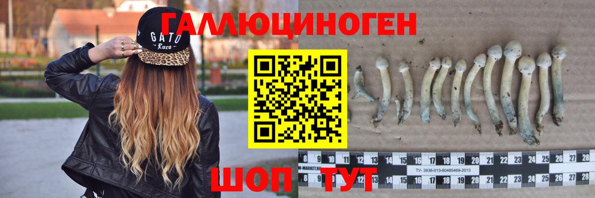 купить наркотики сайты  Вход с VPN  Краснокаменск  Галлюциногенные грибы Psilocybe  Псилоцибиновые грибы MAGIC MUSHROOMS 